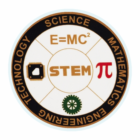 2 Inch in Diameter Round Stem Insert with Mylar Detailing