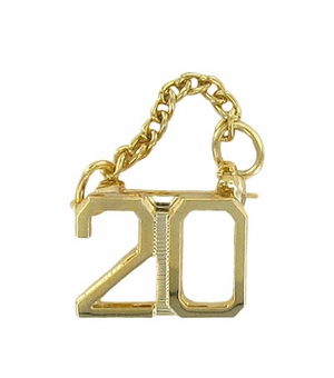 20 YEAR GUARD PIN WITH CHAIN