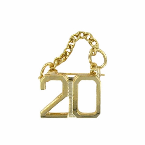 20 YEAR GUARD PIN WITH CHAIN
