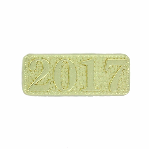 2017 CHENILLE LETTER PIN