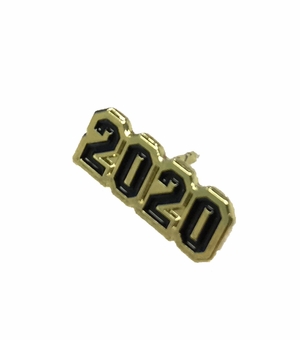 5/8 Inch in Width Enameled 2020 Chenille Pin