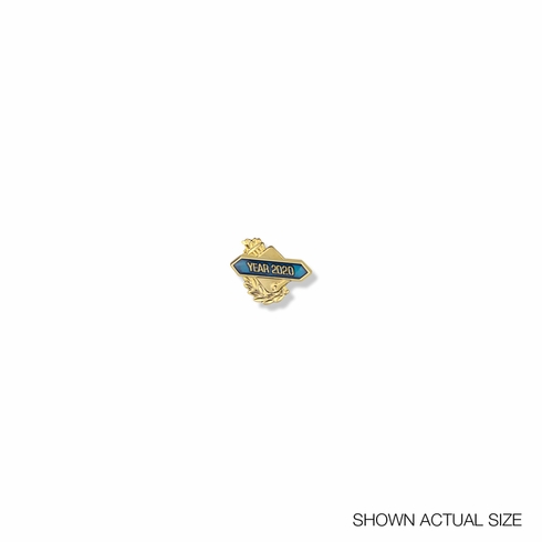 2020 YEAR LAPEL PIN