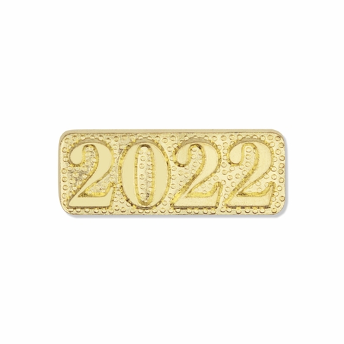 2022 CHENILLE LETTER PIN
