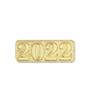 2022 CHENILLE LETTER PIN