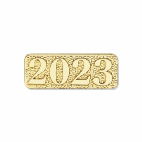2023 CHENILLE LETTER PIN