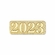 2023 CHENILLE LETTER PIN