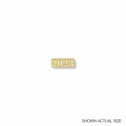 2023 CHENILLE LETTER PIN