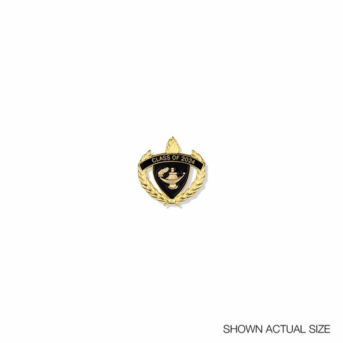 2024 YEAR LAPEL PIN