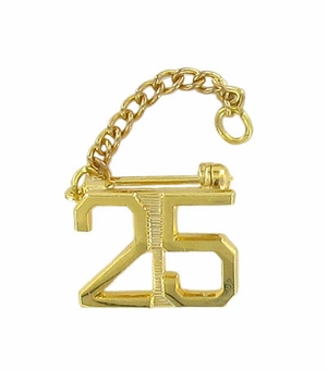 25 YEAR GUARD PIN WITH CHAIN