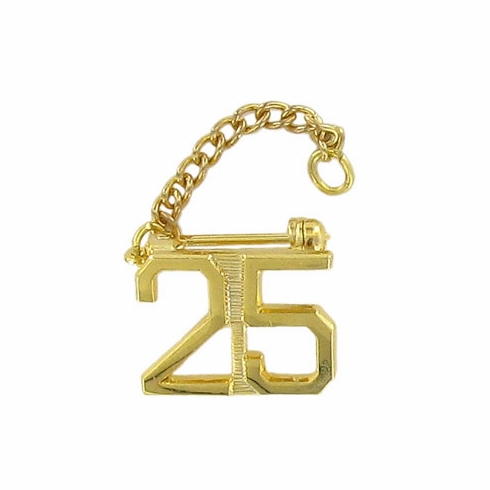 25 YEAR GUARD PIN WITH CHAIN