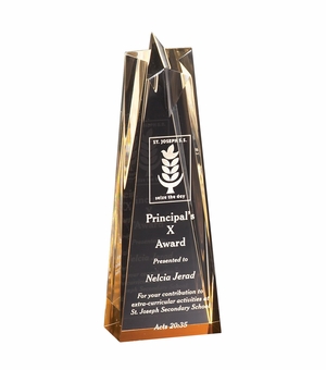 3-1/2" x 10" x 2" GOLD ACRYLIC STAR TOWER AWARD WITH GOLD REFLECTIVE BASE