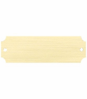3-1/4 X 1 Inch Satin Brass Perpetual Plate