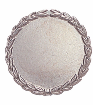 3/4 INCH SILVER PIN BACK PLAIN PIN