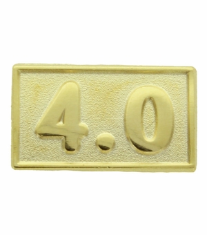 4.0 AVERAGE PIN  ACADEMIC