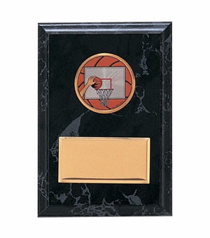 4-1/4 X 6 INCH PLAQUE WITH 2 INCH MEDALLION INSERT AND BRASS PLATE