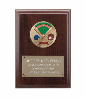 4-1/4  X  6 INCH PLAQUE WITH GOLD EMBOSSED PLATE TAKES INSERT