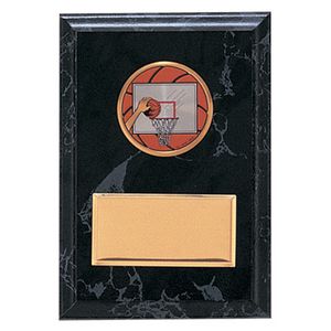 4-1/4 X 6 INCH PLAQUE WITH 2 INCH MEDALLION INSERT AND BRASS PLATE