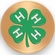 2 Inch in Diameter Round Metal Litho-Print '4-H-Club'  Medallion Insert