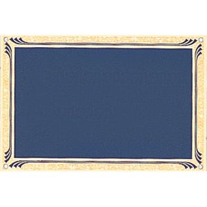 4 X 6 BLUE SCREENED PLATE
