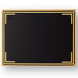 5-1/2 X 7-1/2 SCREENED PLATE