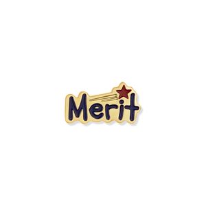 5/8 INCH MERIT LAPEL PIN