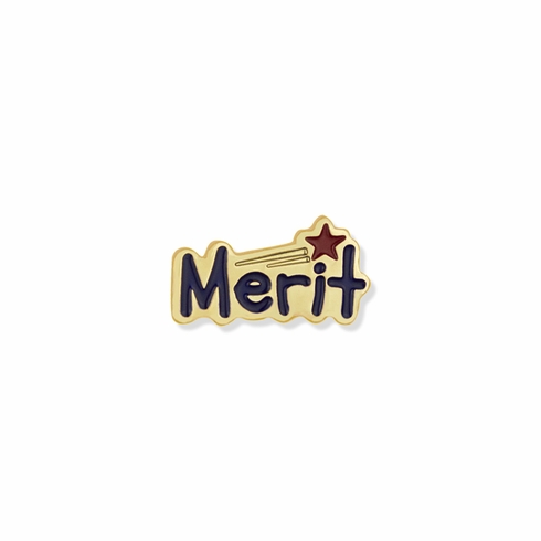 5/8 INCH MERIT LAPEL PIN
