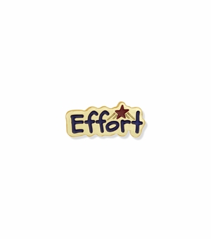 5/8 Inch in Width Etched-Enameled Effort Pin