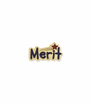 5/8 Inch in Width Etched-Enameled Merit Pin
