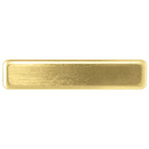 5/8" X 2-1/2" BRIGHTLY POLISHED BRASS NAME BADGE WITH FUSED POSTS AND CLUTCH BACK