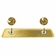 5/8" X 2-1/2" BRIGHTLY POLISHED BRASS NAME BADGE WITH FUSED POSTS AND CLUTCH BACK