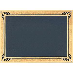5 X 7 BLACK SCREENED PLATE