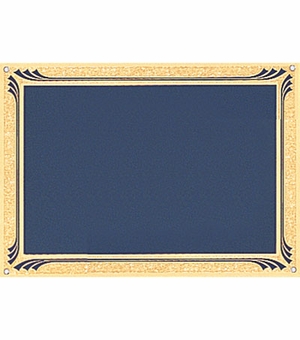 5 X 7 BLUE SCREENED PLATE