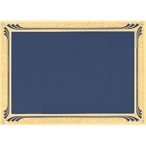 5 X 7 BLUE SCREENED PLATE