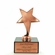 6" BRIGHT DIE CAST METAL STAR TROPHY 