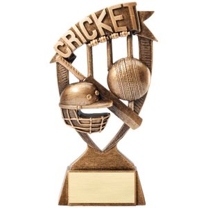 6 INCH ANTIQUE GOLD BANNER CRICKET RESIN TROPHY