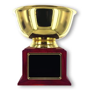 6 INCH DIAMETER GOLD BOWL TROPHY