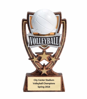 6 INCH PLASTIC MOLDED VOLLEYBALL TROPHY
