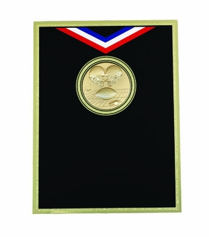 6 X 8 BLACK RIBBON PLATE