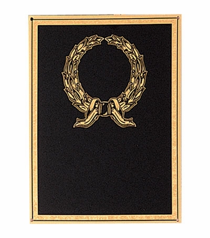 6 X 8 BLACK SCREENED PLATE