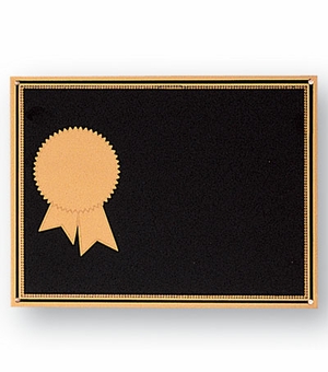 6 X 8 BLACK SCREENED PLATE