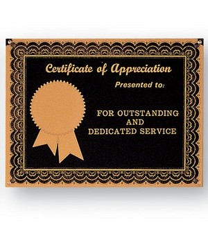 6 X 8 BLACK SCREENED PLATE