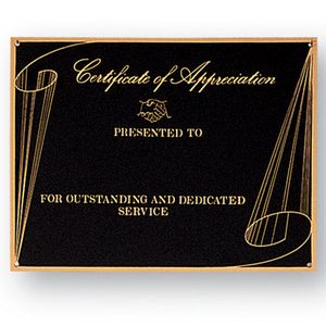 6 X 8 BLACK SCREENED PLATE