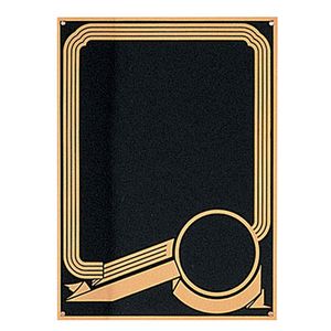 6 X 8 BLACK SCREENED PLATE