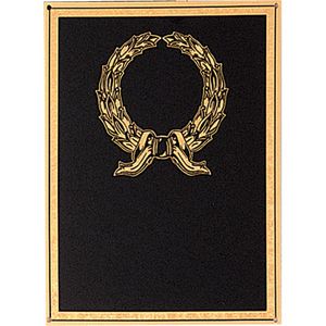 6 X 8 BLACK SCREENED PLATE