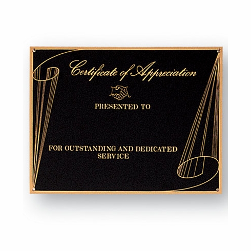 6 X 8 BLACK SCREENED PLATE