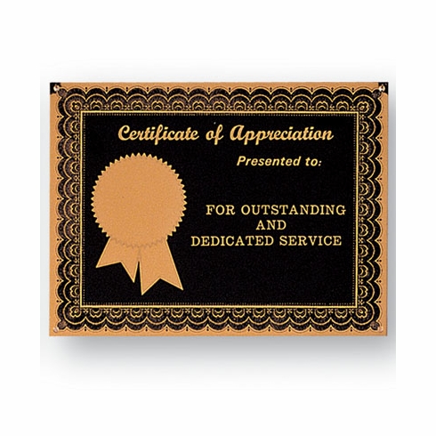 6 X 8 BLACK SCREENED PLATE