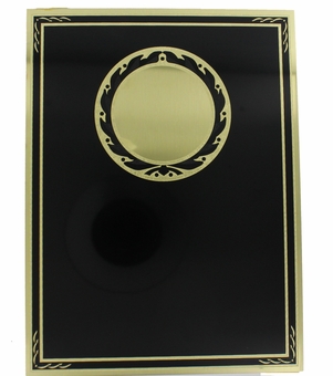 6 x 8 gold screened plate
