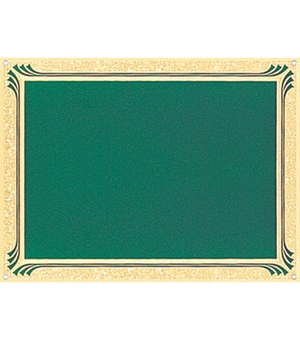 6 X 8  GREEN SCREENED PLATE