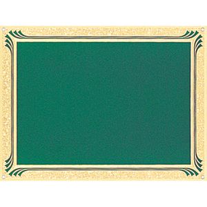 6 X 8  GREEN SCREENED PLATE