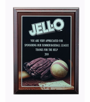 6 X 8 INCH BASEBALL PHOTO SPORTS PLAQUE WITH LASER ENGRAVED PLATE